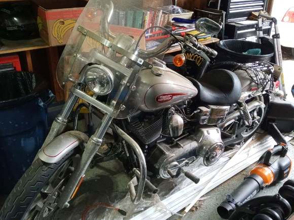 2007 Dyna Low Rider