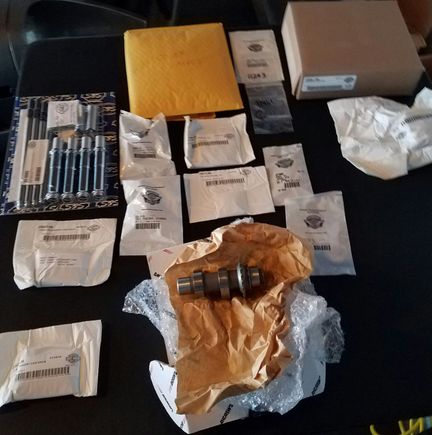 And here is all the parts for the tensioner upgrade, bearing change, new oil pump and cam.  This was much needed as the original cam shoes were worn thru at 29k.

Must say after retune on carb, did not need steppes down/up jets, just raised idle a bit,  the bike is a bigger joy to ride.