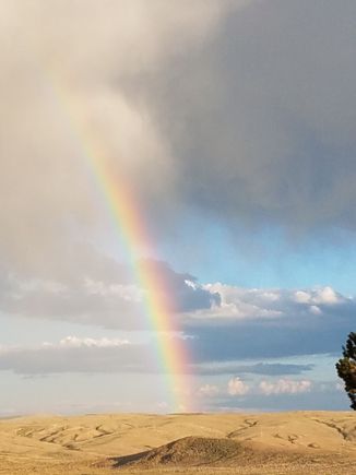 Along the way in WY
