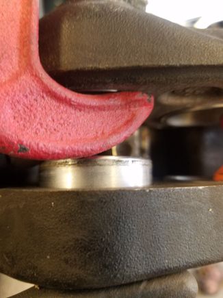 There's the little guy!