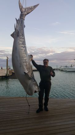 Caught a nice shark on a cane pole while having dinner...