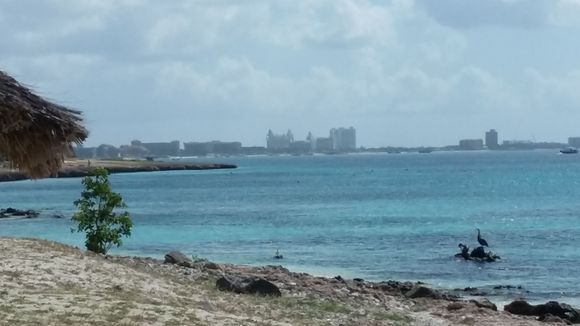 The high rise resort area to the south.