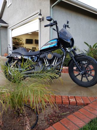 my first harley 2019 iron 1200 traded in at 168 miles lol