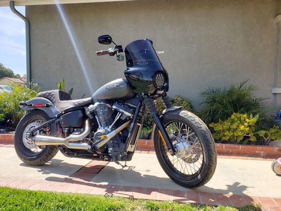 new 2019 street bob