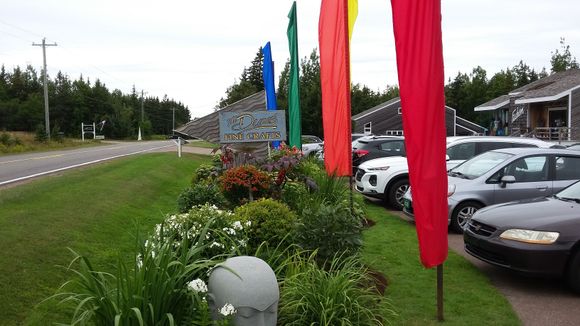 Day 9 - Stopped at a store close to North Rustico called “The Dunes”. Fancy crafts here for those who it interests.