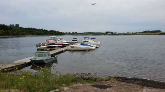 Day 9 - The cove outside the restaurant where the fishing charters leave from.