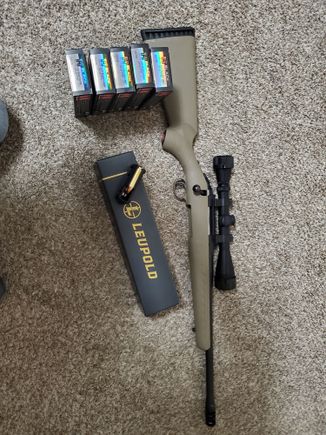 Ruger 450 bushmaster, should be fun to plink around with. 