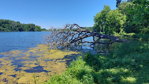 Went though a state park on my way up 78.