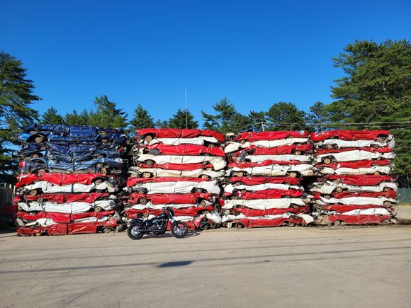 'MERICA!