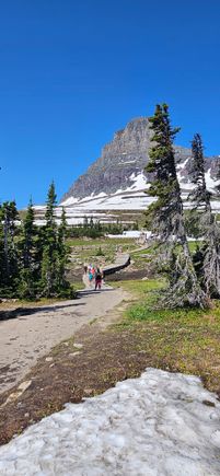 Logan pass 