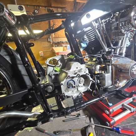 Trans finally coming back together 