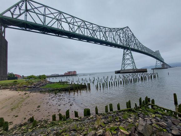 Headed south on 101, back in Oregon after crossing 4-mile bridge over the Columbia.  Love riding over bridges, this one was amazing.