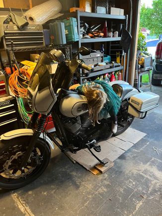 Love all bikes in here. Just wanted to share my daughter hugging my bike and keep this thread alive. I’ll get some better pictures soon. 