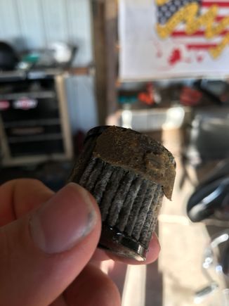 Does this fuel filter still look good?lol