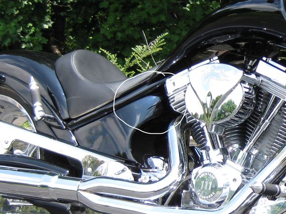 Hard to see, but this had blue metallic clear, over black.