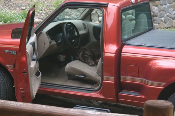 The old boy keeps a watchful eye on his truck!