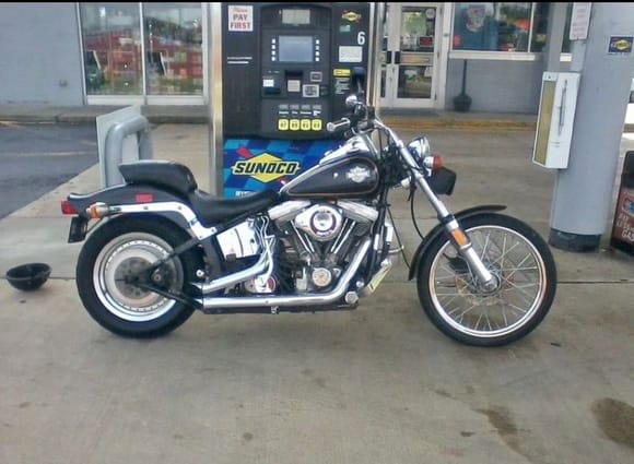 1.  1984 Softail, a little rough but priced accordingly
2,3  another 84 for sale at a cycle shop, looks original, new tires and battery but there is some rust spots that scare me, friend says it looks like a flood bike in the pictures
4,5. 85 Softail looks really clean, wants a lot more than the others
6 79 FXE
