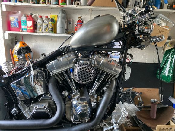 Plans to use Pnut tank in the future.