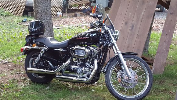 2005 XL1200C.  22K and still going strong.