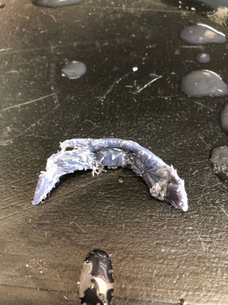 Chunk of nylon bouncing around like a ping pong ball