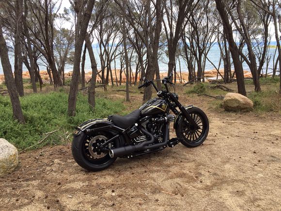 I replaced the D&D Fatcat with a V&H high output short due to scraping. I’m pretty happy with it. 