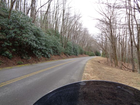 Nice to see green on Parkway