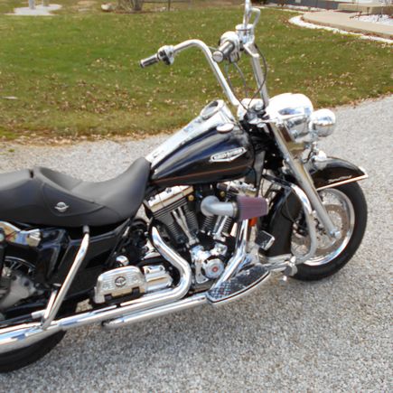 14 inch wild one chubby's