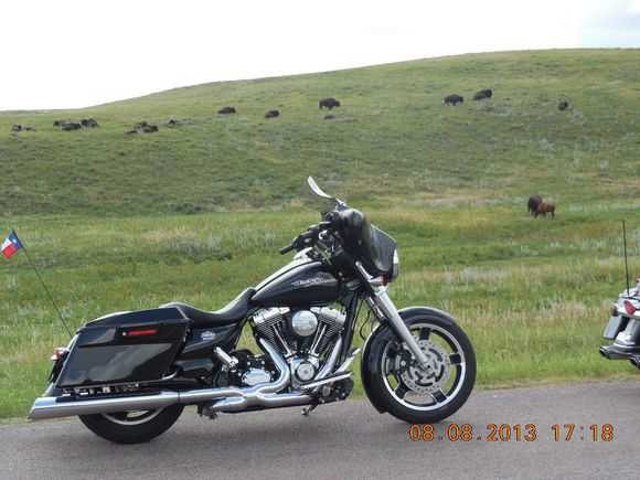 Custer State Park.