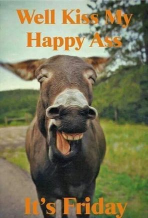 Mornin Woods, one and all. 