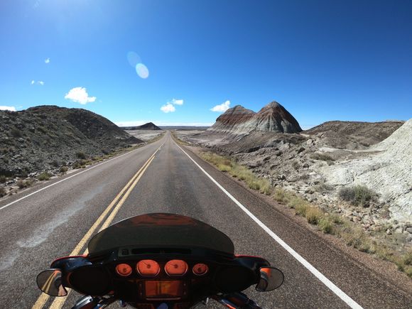 Petrified Forest/Painted Desert
