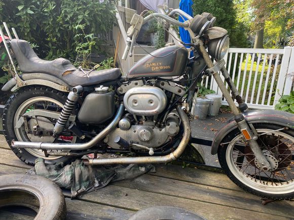 Coming out of the barn