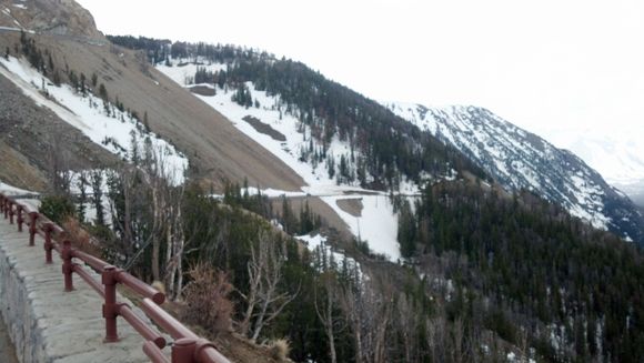 beartooth pass