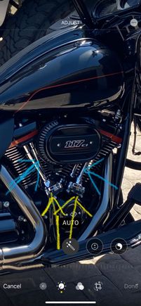 So if I understand, the yellow arrows are pointing to the lifters and the blue arrows (pointing to the long chrom pencil looking things) are the push rods?  Is this correct?