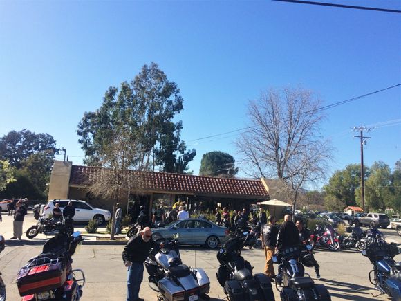Mobbed Sea Fresh in Ojai, CA