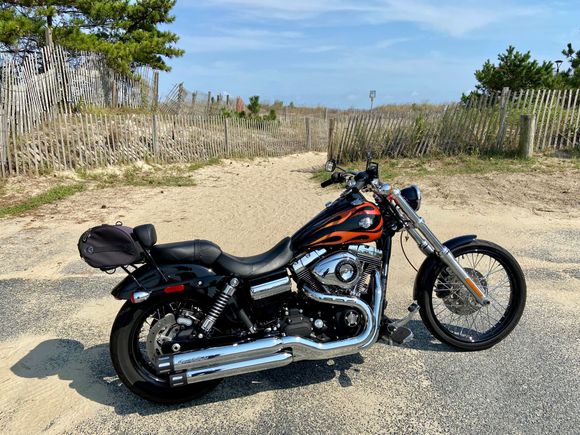 Cruising the shore