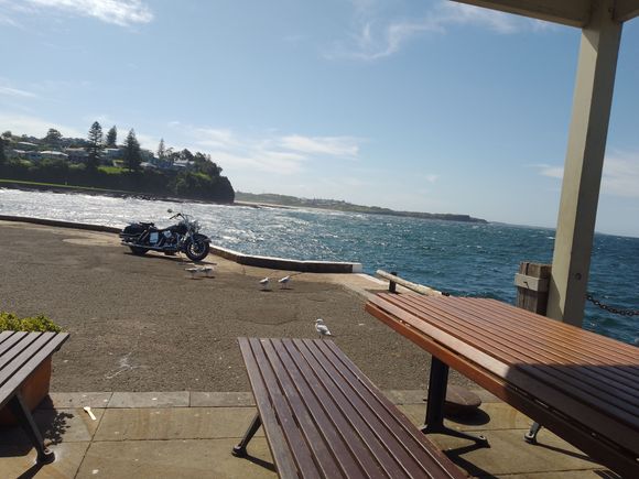 I rode 250 miles to have some fish and chips !!!  ha ha 