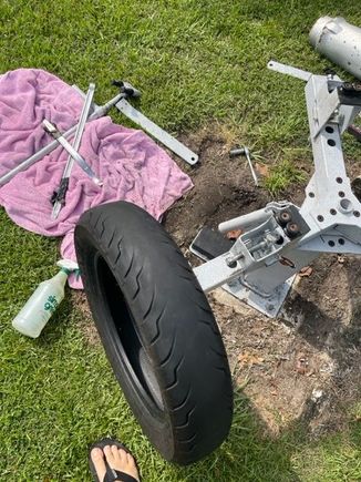 Not as bald as normal