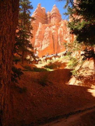 Passed a horse caravan on the Peekaboo Trail in Bryce Canyon NP.