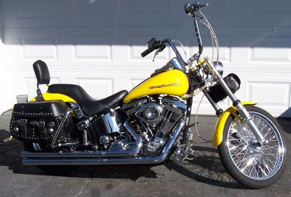 The lastest look for 2011