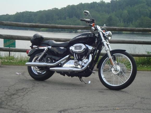 2005 Sportster