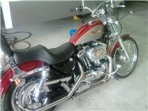 Brenda's Sportster