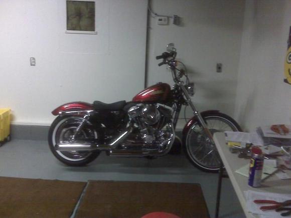 2012 sportster xl1200v