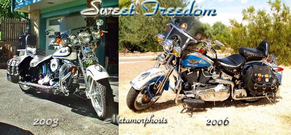 Metamorphosis- From stock to custom-stock, and all it took was a hit-and-run, rear-ender!