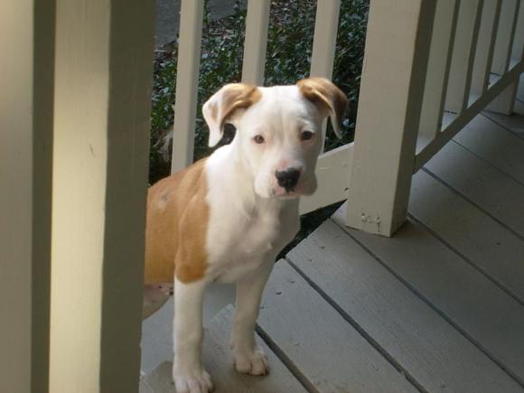 brewster growing b4 r eyes