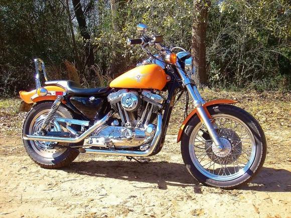 1993 Sportster Deluxe XLH883 with a 1200 top end.