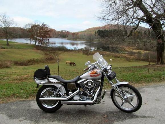 mtn top horses HD   Copy