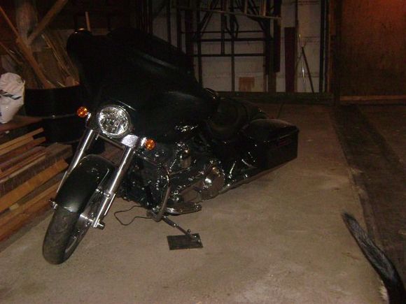 Bike and Kijiji 015