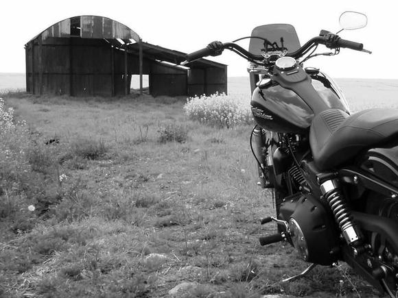 street bob pics 1 021