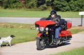 Electra Glide Limited 2010