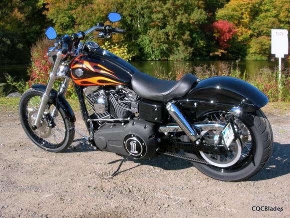 CQCBlades FXDWG SE 110